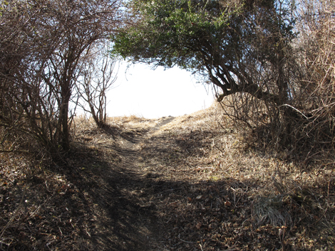 20180116hike (62)